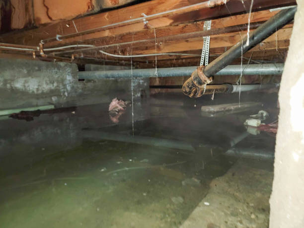  Manville, NJ Water damage restoration Pros