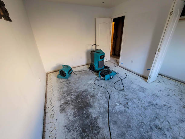 Best Professional water damage repair  in Manville, NJ