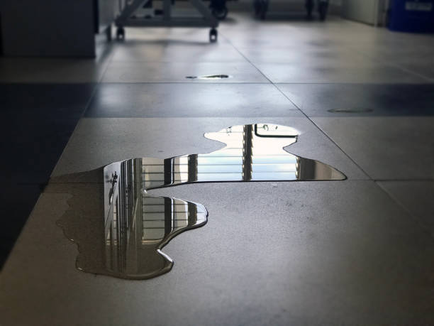 Best Water damage restoration near me  in Manville, NJ