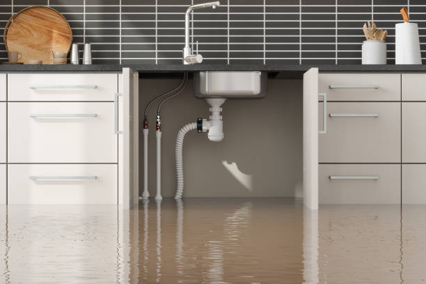 Best Carpet water damage restoration  in Manville, NJ