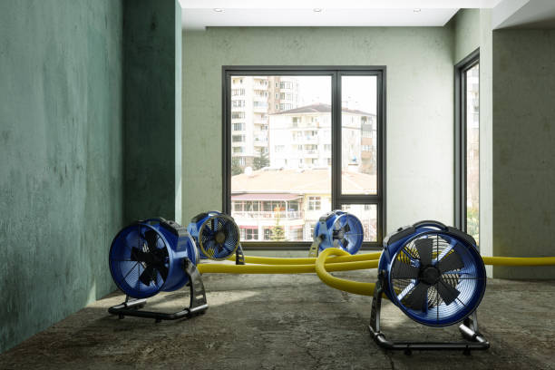 Best Water damage contractors near me  in Manville, NJ